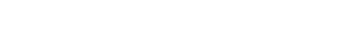 The Midnight Garden